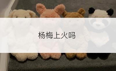 杨梅上火吗