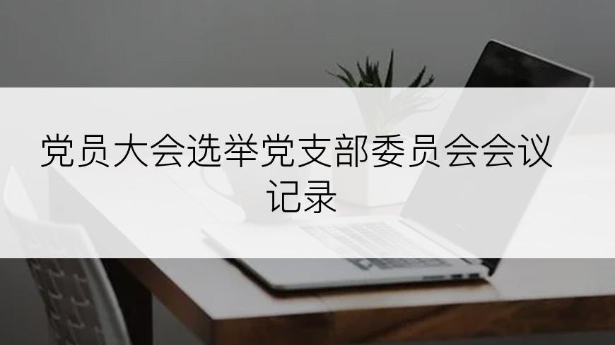 党员大会选举党支部委员会会议记录