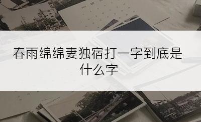 春雨绵绵妻独宿打一字到底是什么字