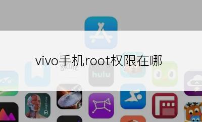 vivo手机root权限在哪