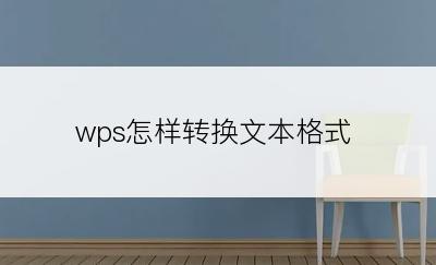 wps怎样转换文本格式