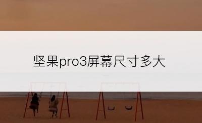 坚果pro3屏幕尺寸多大