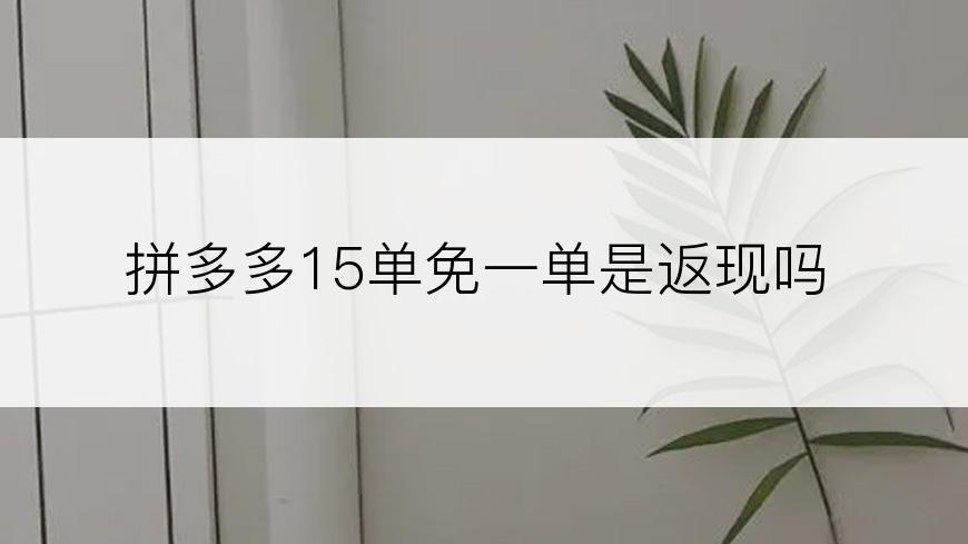 拼多多15单免一单是返现吗