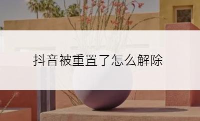 抖音被重置了怎么解除