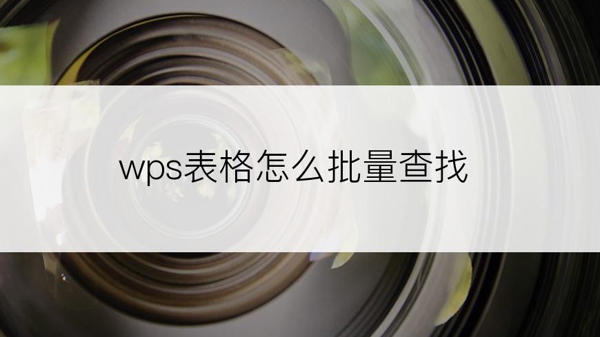 wps表格怎么批量查找