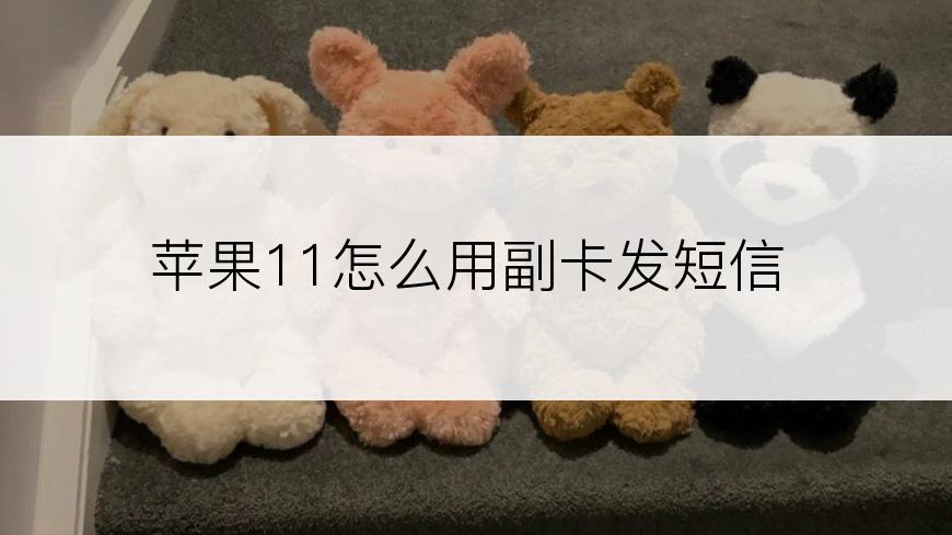 苹果11怎么用副卡发短信