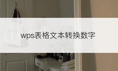 wps表格文本转换数字