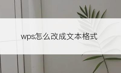 wps怎么改成文本格式