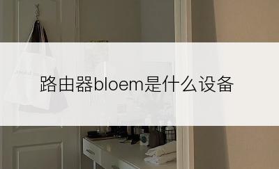 路由器bloem是什么设备