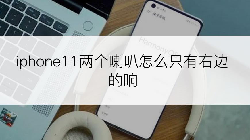 iphone11两个喇叭怎么只有右边的响