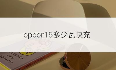 oppor15多少瓦快充