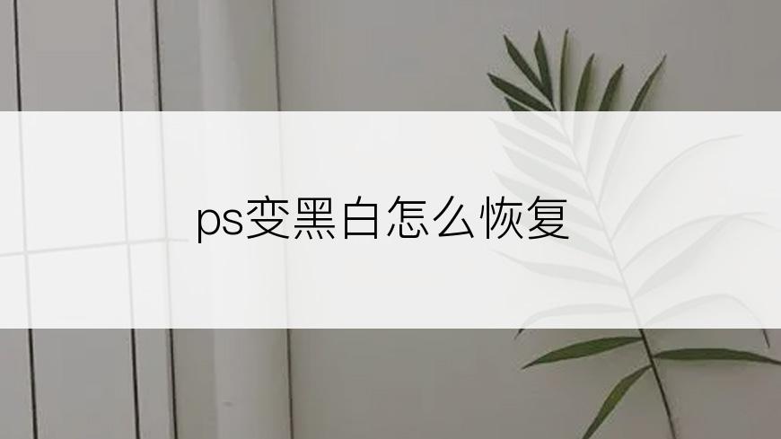 ps变黑白怎么恢复