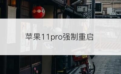 苹果11pro强制重启