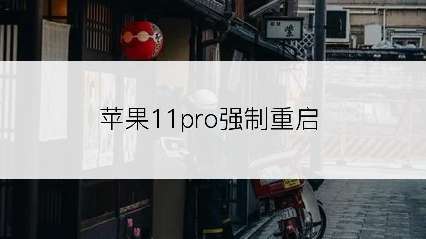 苹果11pro强制重启