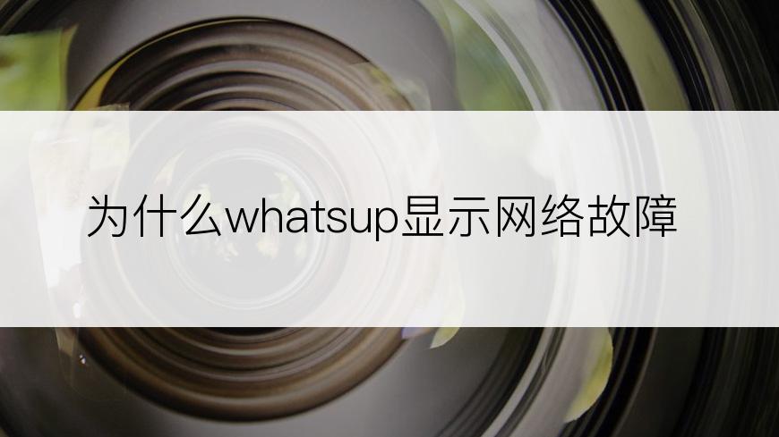 为什么whatsup显示网络故障