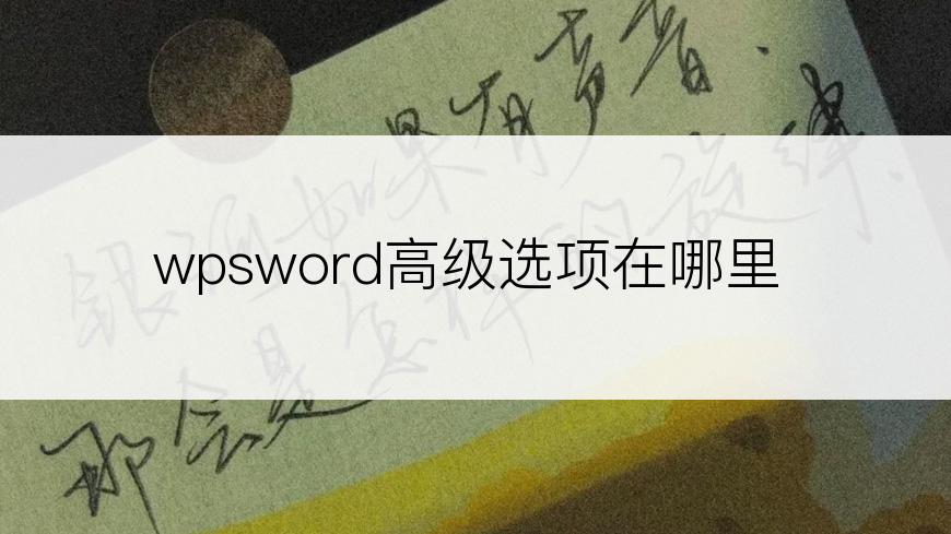 wpsword高级选项在哪里