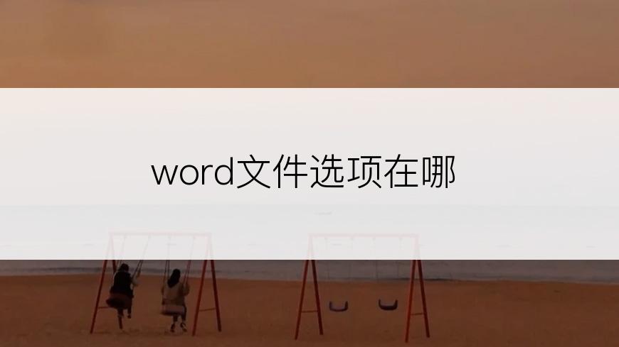 word文件选项在哪