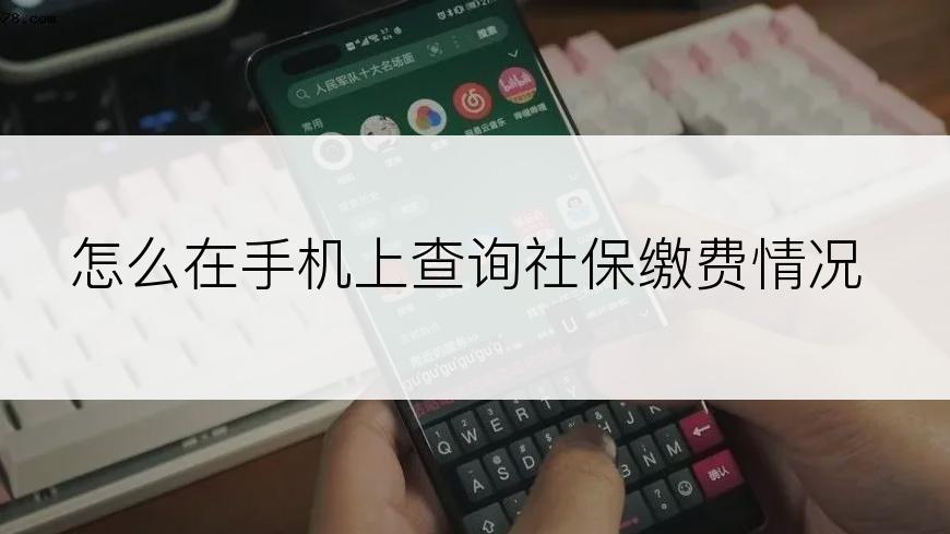 怎么在手机上查询社保缴费情况