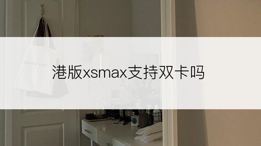 港版xsmax支持双卡吗