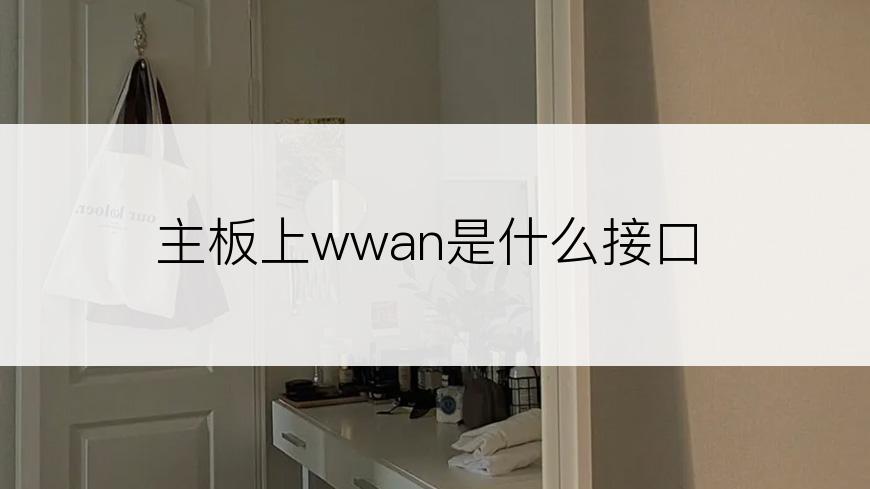 主板上wwan是什么接口