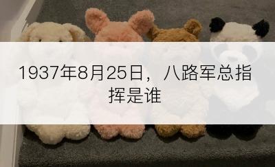 1937年8月25日，八路军总指挥是谁