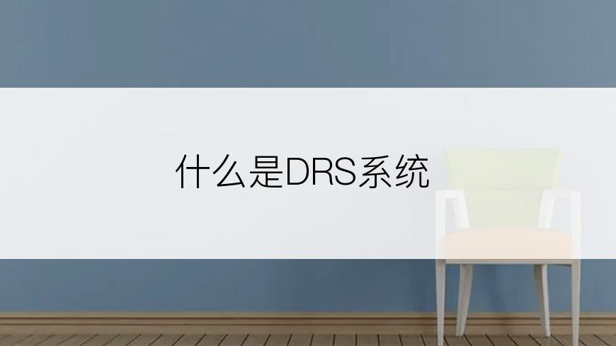 什么是DRS系统