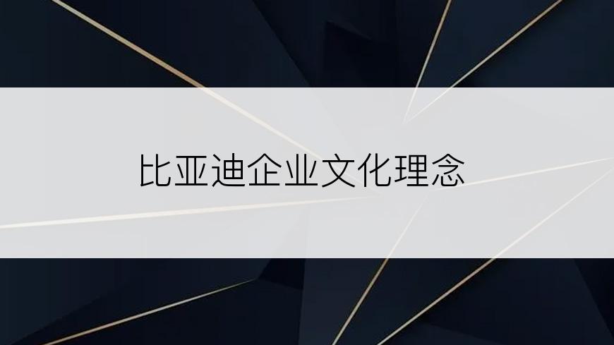 比亚迪企业文化理念