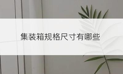 集装箱规格尺寸有哪些