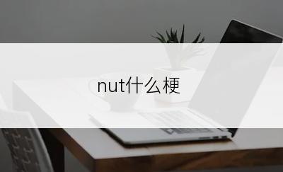 nut什么梗