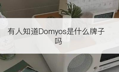 有人知道Domyos是什么牌子吗