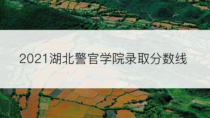 2021湖北警官学院录取分数线