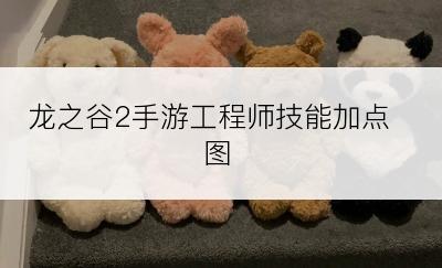 龙之谷2手游工程师技能加点图