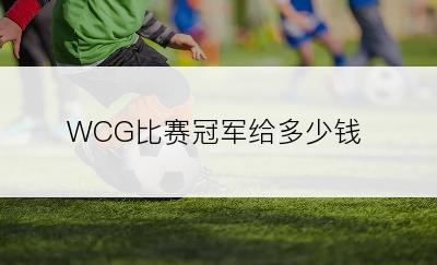 WCG比赛冠军给多少钱