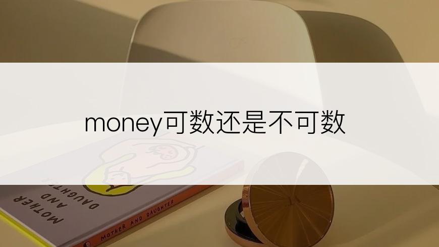 money可数还是不可数