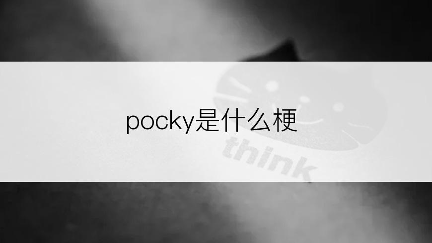 pocky是什么梗