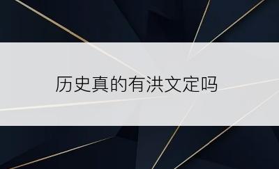 历史真的有洪文定吗