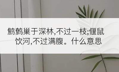 鹪鹩巢于深林,不过一枝;偃鼠饮河,不过满腹。什么意思