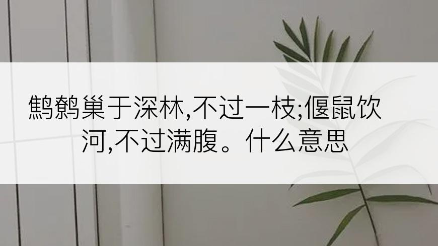 鹪鹩巢于深林,不过一枝;偃鼠饮河,不过满腹。什么意思