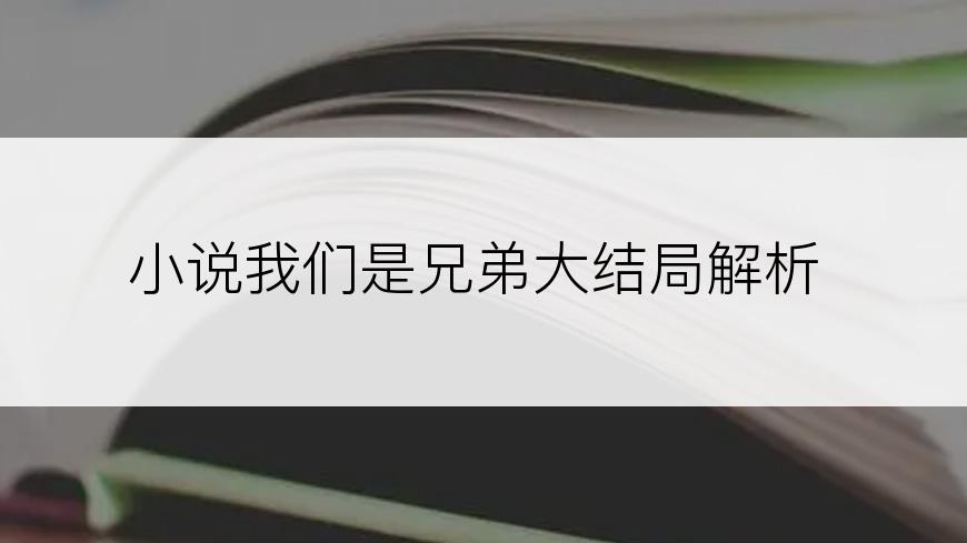 小说我们是兄弟大结局解析