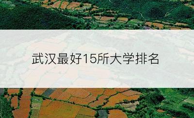 武汉最好15所大学排名