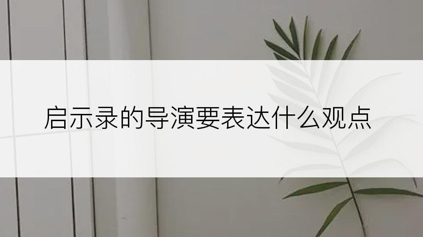 启示录的导演要表达什么观点