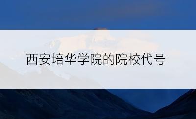 西安培华学院的院校代号