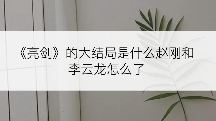 《亮剑》的大结局是什么赵刚和李云龙怎么了