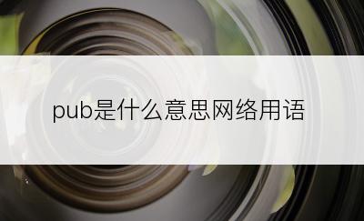 pub是什么意思网络用语