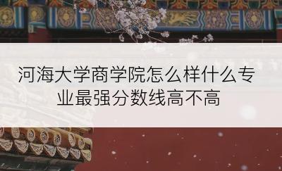 河海大学商学院怎么样什么专业最强分数线高不高