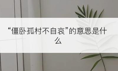 “僵卧孤村不自哀”的意思是什么