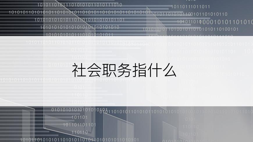 社会职务指什么