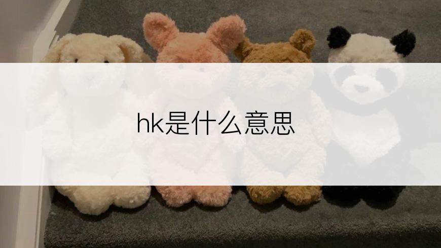 hk是什么意思