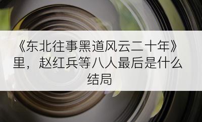 《东北往事黑道风云二十年》里，赵红兵等八人最后是什么结局