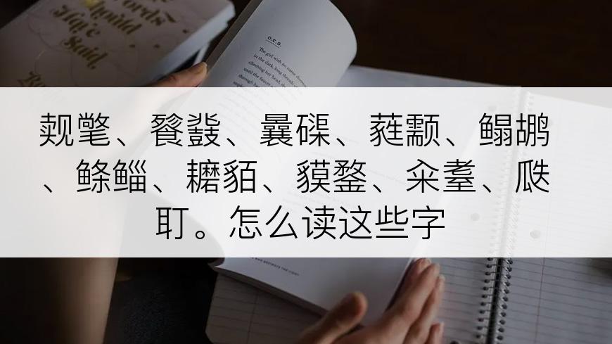 觌氅、餮鼗、曩磲、蕤颥、鳎鹕、鲦鲻、耱貊、貘鍪、籴耋、瓞耵。怎么读这些字